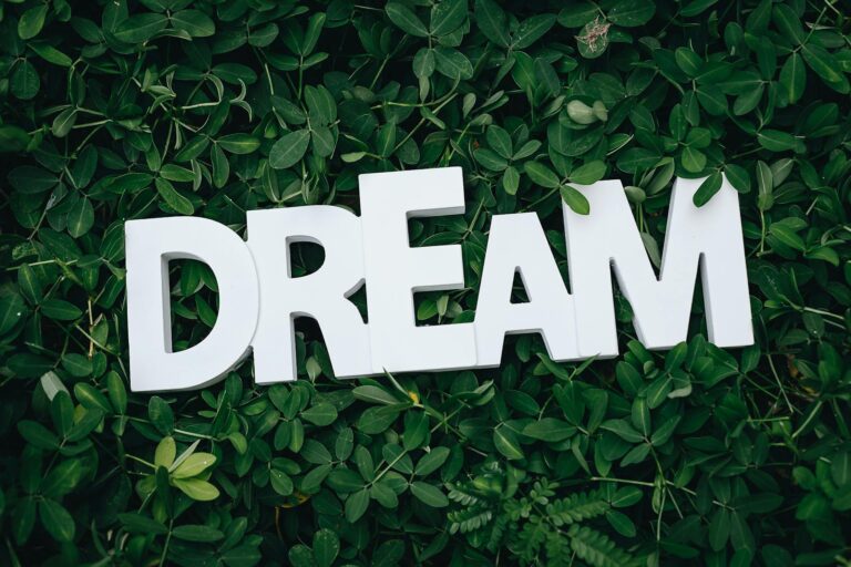 What Is Dream'S Net Worth in 2025 - Featured image